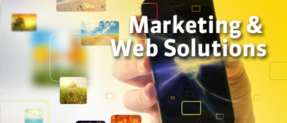 Marketing y Soluciones Web